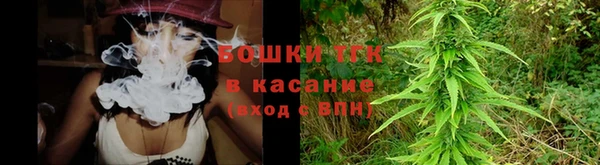 эйфоретик Гусев