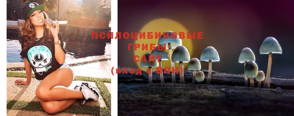 эйфоретик Гусев