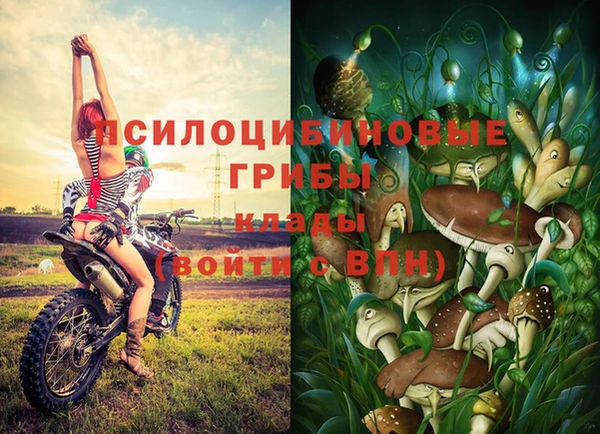 эйфоретик Гусев