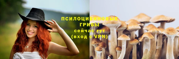 эйфоретик Гусев