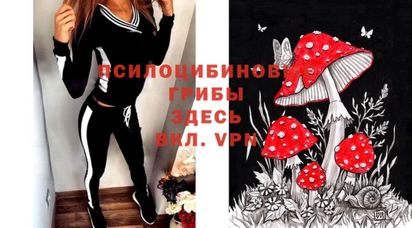 бошки Гусь-Хрустальный