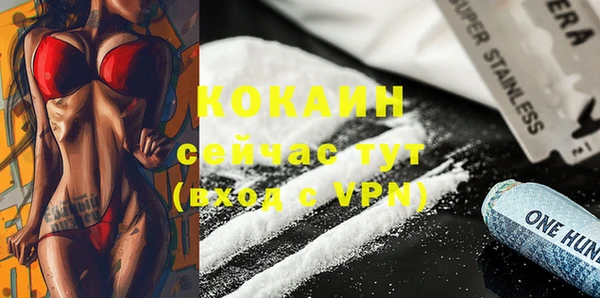 эйфоретик Гусев