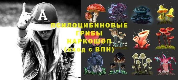 эйфоретик Гусев