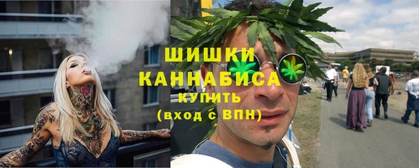эйфоретик Гусев